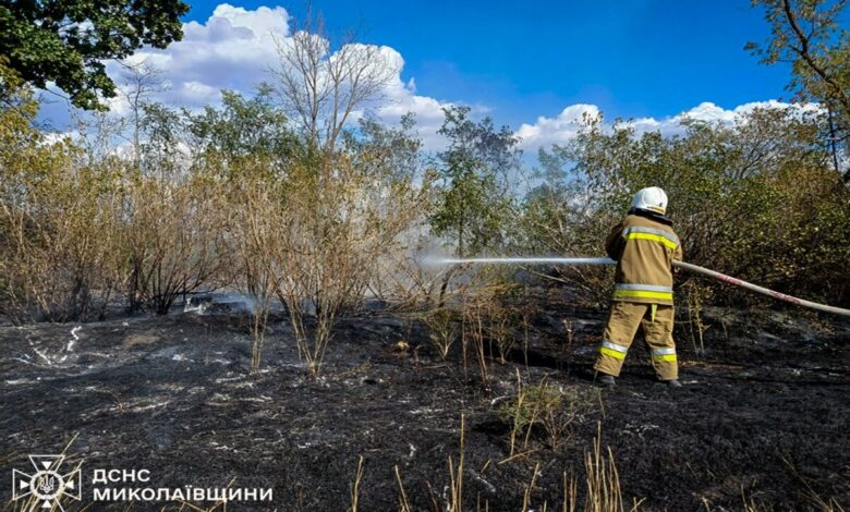 Палаючі чагарники перетворилися на смертельну пастку