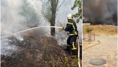 Пожежі в Корабельному районі 03.08.2025