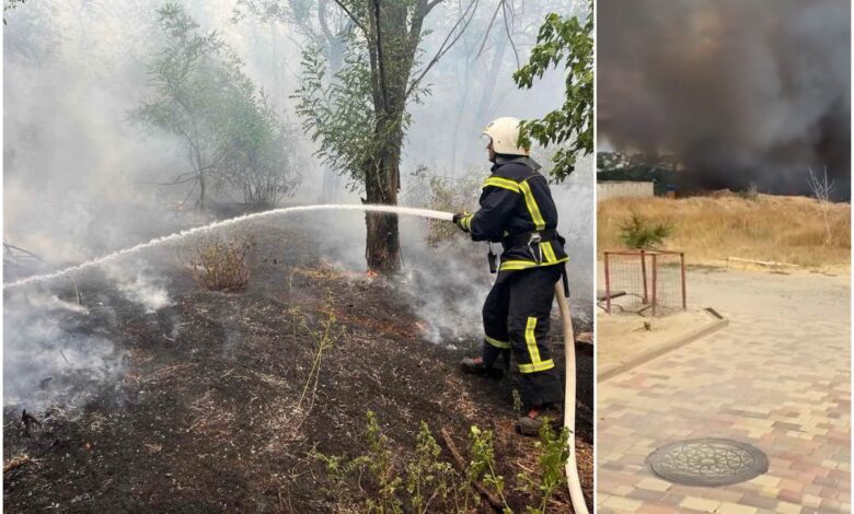 Пожежі в Корабельному районі 03.08.2025