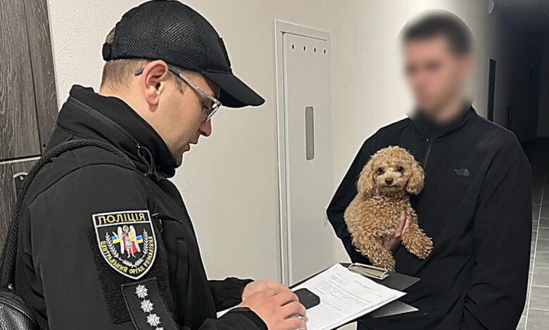 Кіберзлочинність