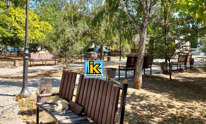 Сквер "Біла акація"