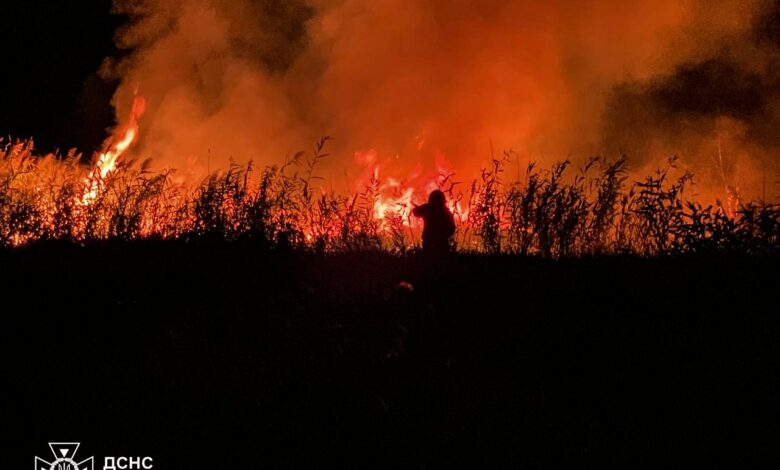 пожежа очерету