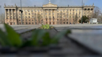 Миколаївська мерія