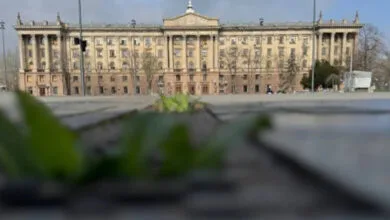 Миколаївська мерія