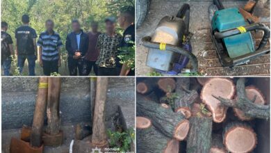 "Чорні" лісоруби, їх знаряддя та погублені дерева