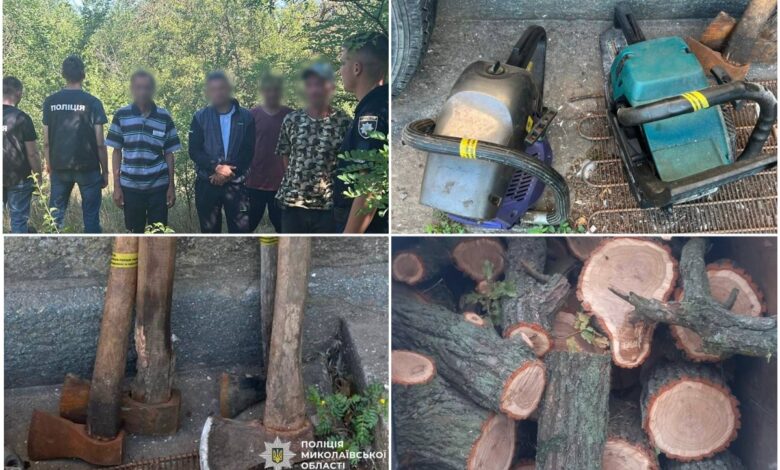 "Чорні" лісоруби, їх знаряддя та погублені дерева