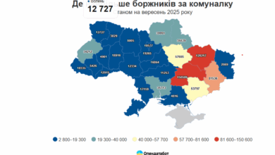 борги за комуналку, дані Опендатабот