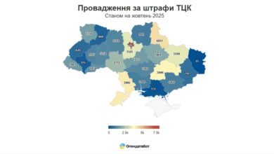 дані опендатабот (штрафи ТЦК)