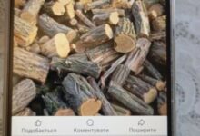 продаж нейснуючих дров