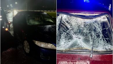 Автівки, що побували в ДТП