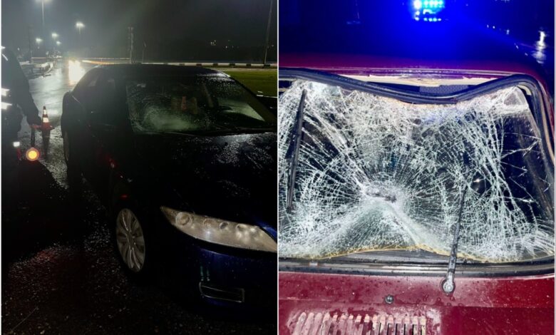 Автівки, що побували в ДТП