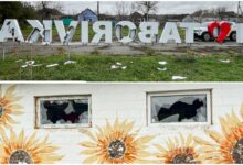 малолітні вандали розтрощили арт-об'єкт