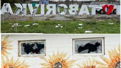 малолітні вандали розтрощили арт-об'єкт