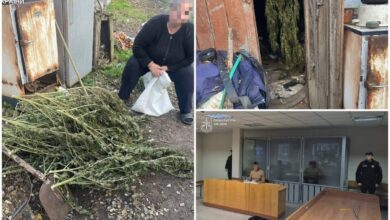 у подружжя вилучили 40 кг наркотичних речовин