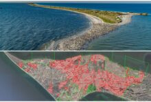 Кінбурнська коса. Місця пожеж в лісних масивах.