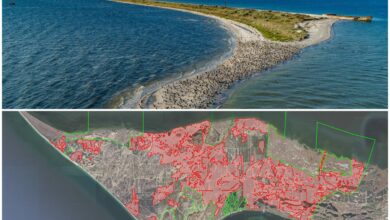 Кінбурнська коса. Місця пожеж в лісних масивах.