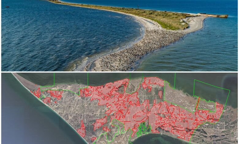 Кінбурнська коса. Місця пожеж в лісних масивах.