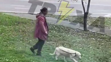 Знущання над собакою