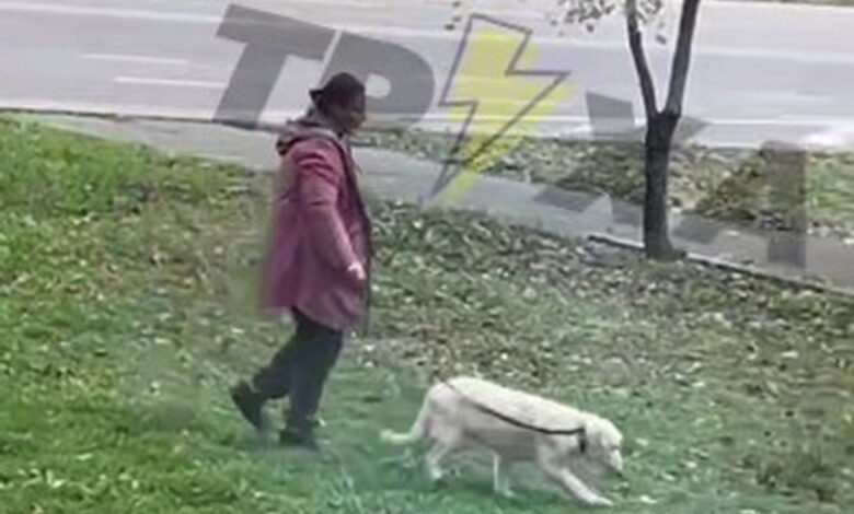 Знущання над собакою