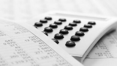 Держаудитслужба виявила масштабні порушення на Миколаївщині