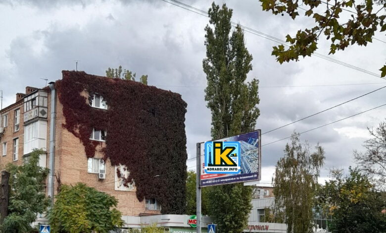 пр. Богоявленський, Миколаїв