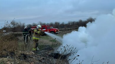 гасіння вогню, ДСНС, робота пожежників
