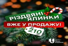 Новорічні ялинки чекають на Вас!