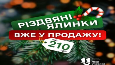 Новорічні ялинки чекають на Вас!