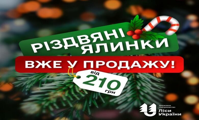 Новорічні ялинки чекають на Вас!