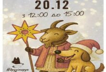 Різдвяна атмосфера та песики чекають на Вас!