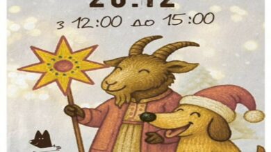 Різдвяна атмосфера та песики чекають на Вас!