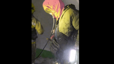 Евакуація з задимленого під'їзду (скрін з відео ДСНС)