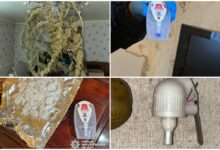 зброя та наркотики у жителя Миколаєва