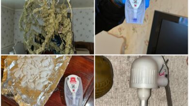 зброя та наркотики у жителя Миколаєва