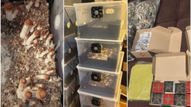 Небезпечні ласощі та їх начинка