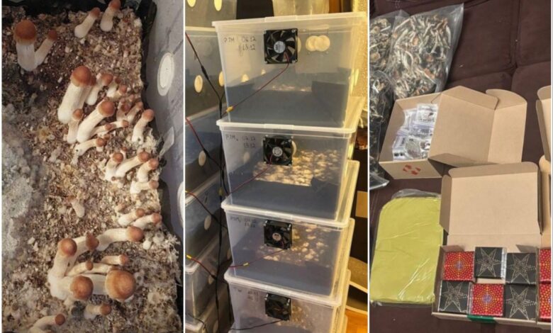 Небезпечні ласощі та їх начинка