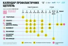 Оновлений календар щеплень