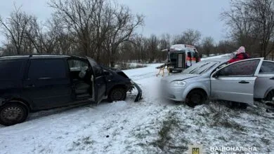 ДТП під Снігурівкою, поліція