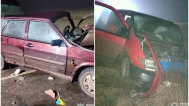 ДТП на Миколаївщині