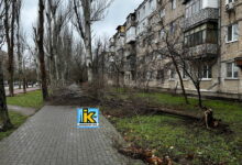 Повалене негодою дерево на пр. Корабелів у Миколаєві