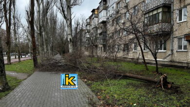 Повалене негодою дерево на пр. Корабелів у Миколаєві