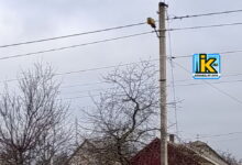 Електромережі в Корабельному районі