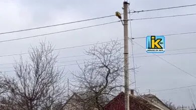 Електромережі в Корабельному районі