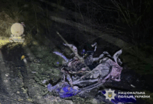 ДТП поблизу с. Половинки