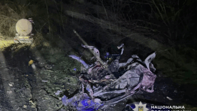 ДТП поблизу с. Половинки