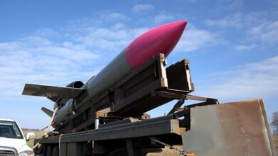 Українська крилата ракета "Фламінго" (фото ілюстративне)