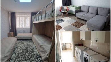 Інтер'єри притулку