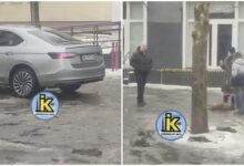 збив собаку біля нової пошти