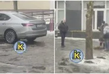 Водій збив собаку біля Нової Пошти в Корабельному районі Миколаєва