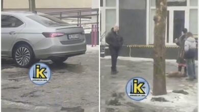 збив собаку біля нової пошти